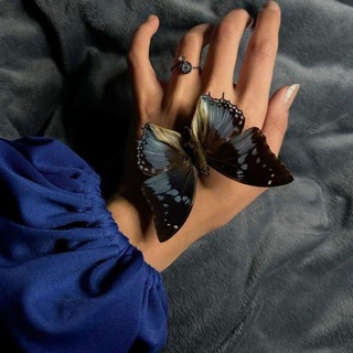 Telegram profile photo for پروانه آبی🦋"