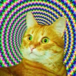 Telegram profile photo for —