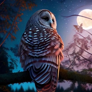 Telegram profile photo for Результаты оЗДОРОВления
