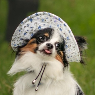 Telegram profile photo for псарня