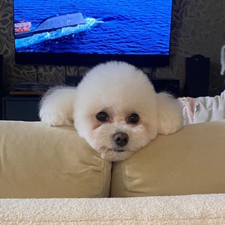 Telegram profile photo for АРИАНА МИЛОВАНОВА
