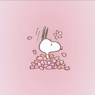 Telegram profile photo for ⋆𐙚₊˚Cosmeic Gallery'$ 𓆸` | DISKON 30%