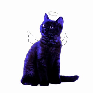 Telegram profile photo for ░°·🌀🪼天空の深さ🪼🌀·°░