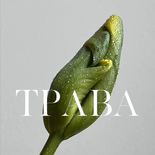 Telegram profile photo for ТРАВА | доставка цветов