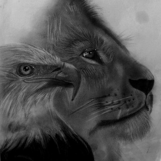 Telegram profile photo for شريان