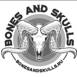 Telegram profile photo for Bones and skulls. Таксидермия, черепа животных