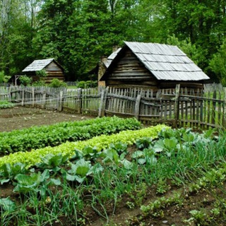 Telegram profile photo for Survival Farming