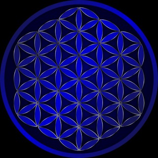 Telegram profile photo for ENERGETICA369 отзывы