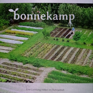 Telegram profile photo for Bonnekampkanal 🌱