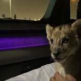 Telegram profile photo for تناهيـد