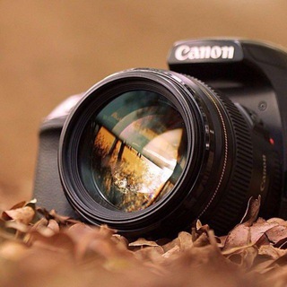 Telegram profile photo for В кратце о фотографе📸