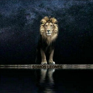 Telegram group profile photo for SOMOS LEONES 🦁💬