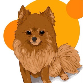 Telegram group profile photo for взаимные от SH Хани