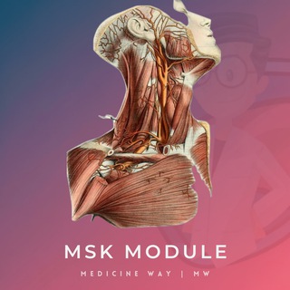 Telegram profile photo for Musculoskeletal (Locomotor) | MW