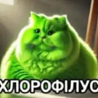 Telegram profile photo for рэйвен лупа залупа
