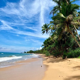 Telegram profile photo for Шри Ланка Hotel "Arena"Sri Lanka🏝🧘♀🏄♀