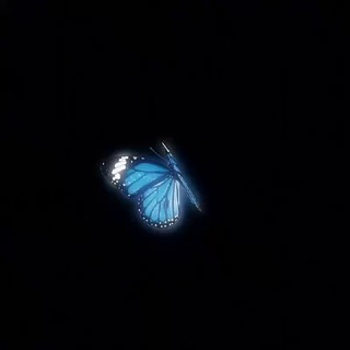 Telegram profile photo for 𝒑𝒂𝒈𝒆𝒔 𝒐𝒇 𝒎𝒆 🦋,