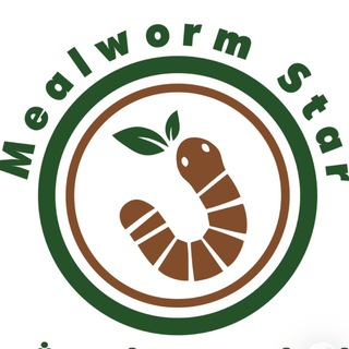 Telegram profile photo for میلورم استار | Mealworm star