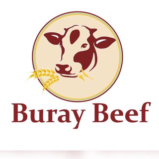 Telegram profile photo for Buraybeef