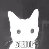 Telegram profile photo for пенсионеры акробатики