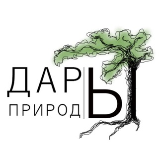 Telegram profile photo for Дары природы