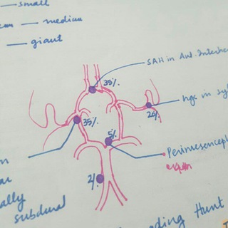 Telegram profile photo for CNS, H&Neck Imaging Quizes