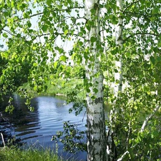 Telegram profile photo for Русская школа N 1 ( Escuela rusa N 1)