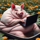 Telegram profile photo for СЛИВ ЙАФЕТА