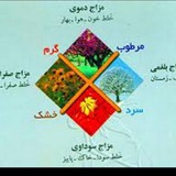 Telegram profile photo for طب سنتی شفا،حکیم والا