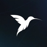 Telegram profile photo for Agrysto Studio | Студия графического дизайна