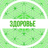 Telegram profile photo for Рой Здоровье