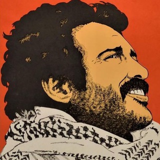 Telegram profile photo for Helping Hands for Palestine