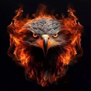 Telegram profile photo for فريق الصقر لعملات ال pump Fun