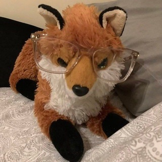 Telegram profile photo for Верховный Совет Файнота🦊