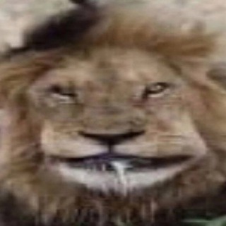 Telegram profile photo for иди нахуй