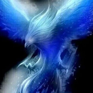 Telegram profile photo for BLUE WINGS Diffusion - www.bluewingsdiffusion.be