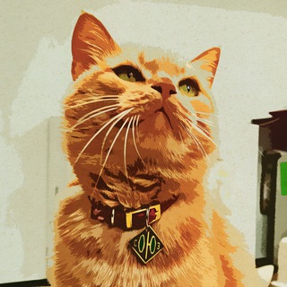 Telegram profile photo for Фета Кошка