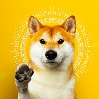 Telegram profile photo for DogeTwits