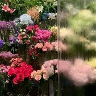 Telegram profile photo for منشورات كرائحة الورد المتنوعه🌸