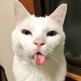 Telegram profile photo for bryl1kbaby