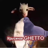 Telegram profile photo for Крысиное GHETTO