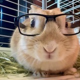Telegram profile photo for Спальня Крола🗯️