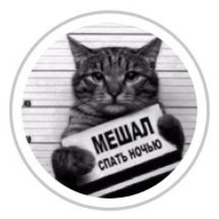 Telegram profile photo for Bq_cats