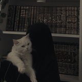 Telegram profile photo for نِهايةُ السِطرِ نُقطةَ🖤🦋.