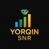 Telegram profile photo for Yorqin_SNR 📊