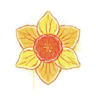 Telegram profile photo for Sunshine court