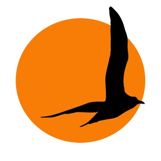 Telegram profile photo for Кастинг Черноморской киностудии