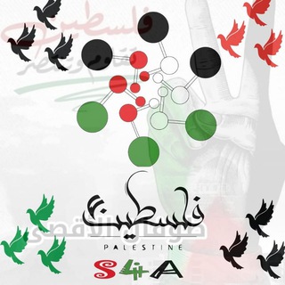 Telegram profile photo for S4A TEAM