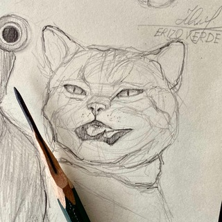 Telegram profile photo for erizo verde