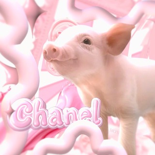 Telegram profile photo for Chanel